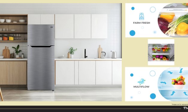 BPL 500 Litre Frost Free Double Door Fridge