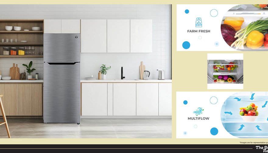 BPL 500 Litre Frost Free Double Door Fridge