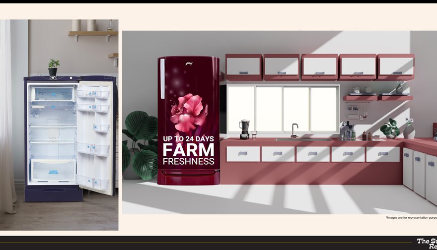 Godrej 183 Litre Fridge – The Veggie Guardian