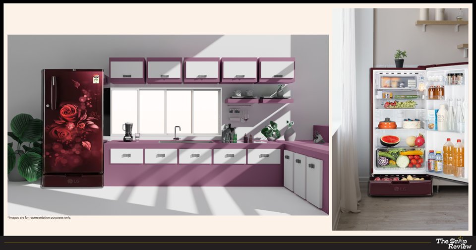 LG 185 Litre Fridge – The Energy Miser