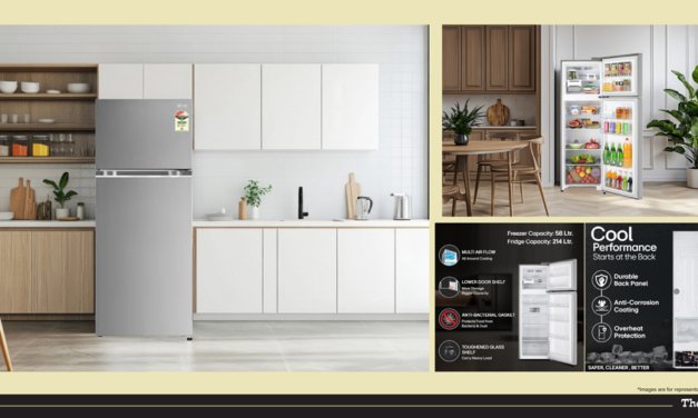LG 272 Litre Smart Inverter Double Door Fridge
