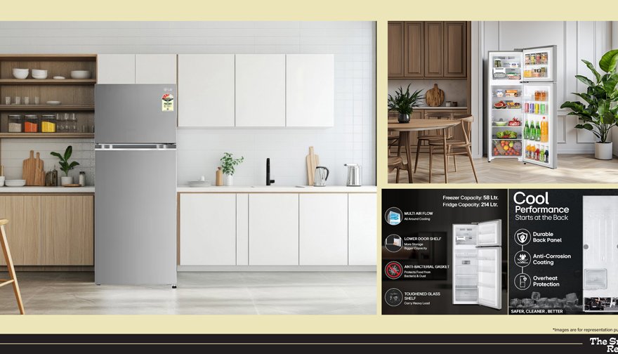 LG 272 Litre Smart Inverter Double Door Fridge