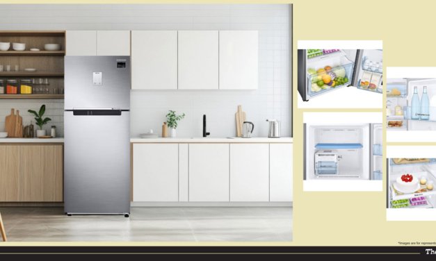 Samsung 236 Litre Digital Inverter Double Door Fridge