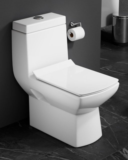 CLAYPLUS Premium Floor Mounted Toilet