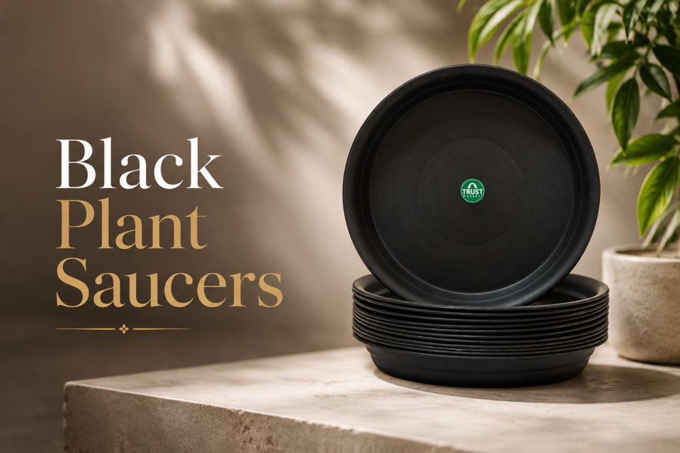 Black Plant Saucers
