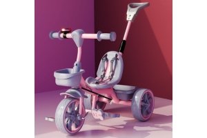 Lifelong Trike Cycle for Kids