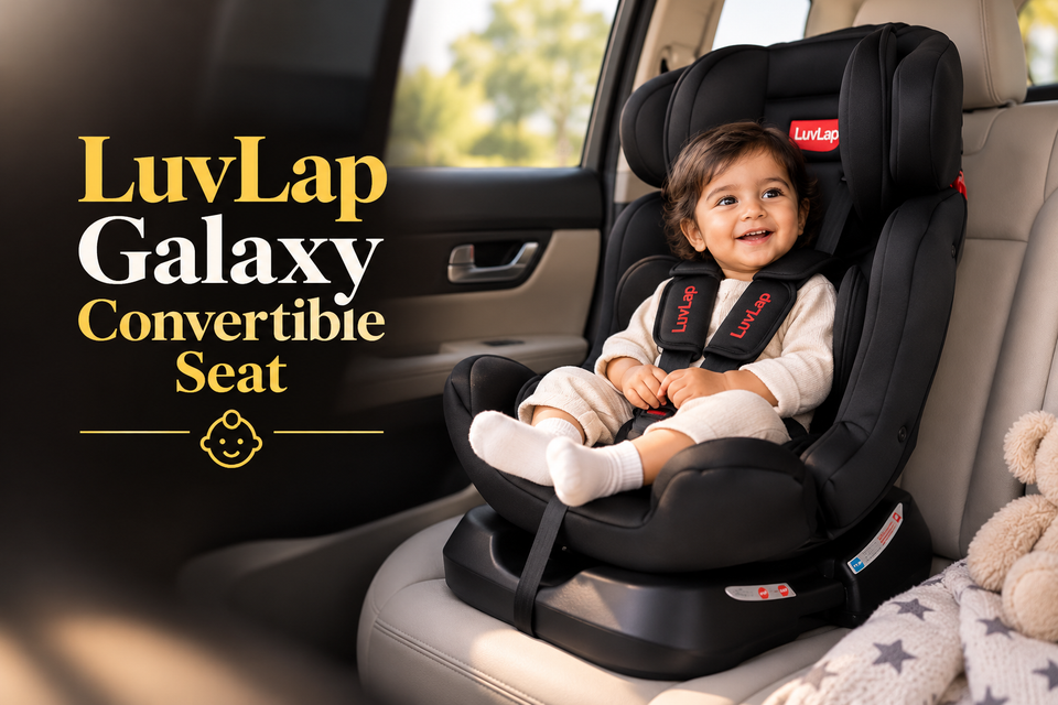 LuvLap Galaxy Convertible Seat